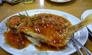 高砂鱼