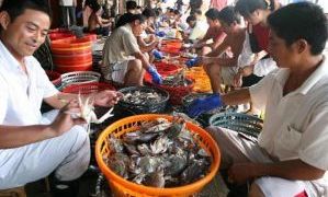 舟山国际水产城
