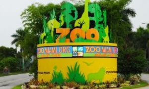 迈阿密动物园