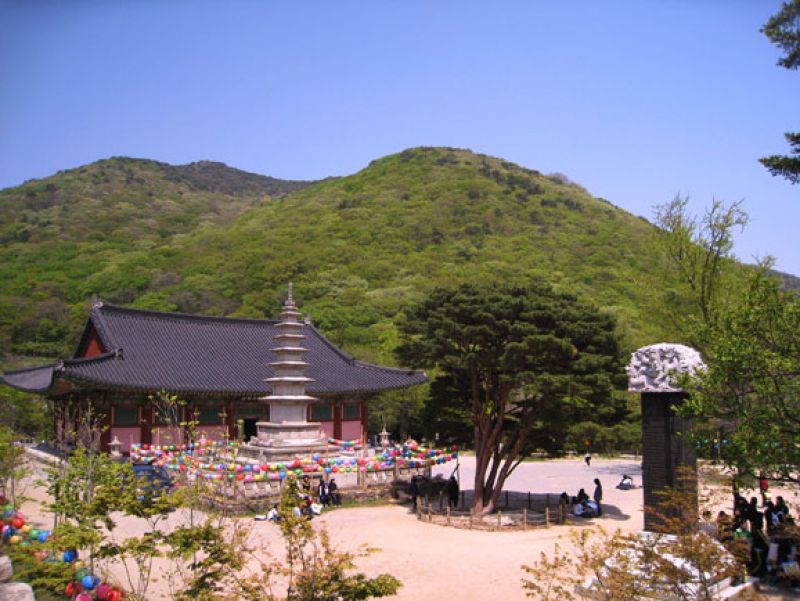 梵鱼寺
