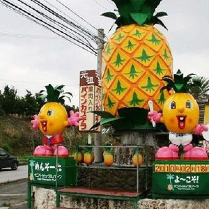 菠萝园_冲绳景点_邮轮港口城市介绍- 最邮轮旅行网
