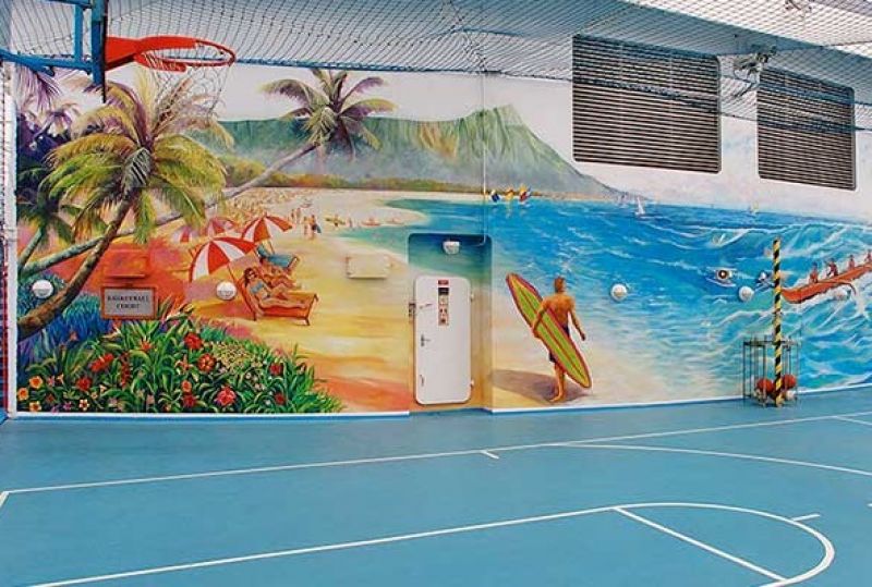 Basketball/Volleyball Court