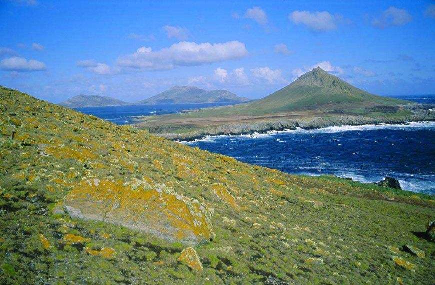 福克兰群岛 野生动植物的天堂