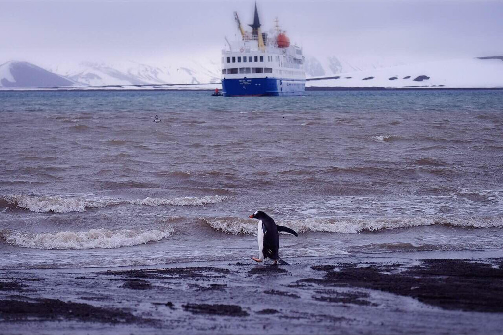 奇幻岛 南极洲唯一能进行海水浴的旅游胜地